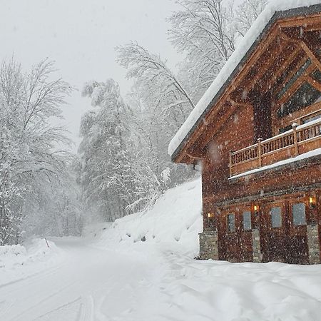 Chalet Entier 110M2 Avec Vue Et Sauna A 10 Min Des Pistes Сент-Фуа-Тарентез Экстерьер фото